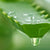 10 beneficios del aloe vera y por qué está presente en tantos productos Yon-Ka