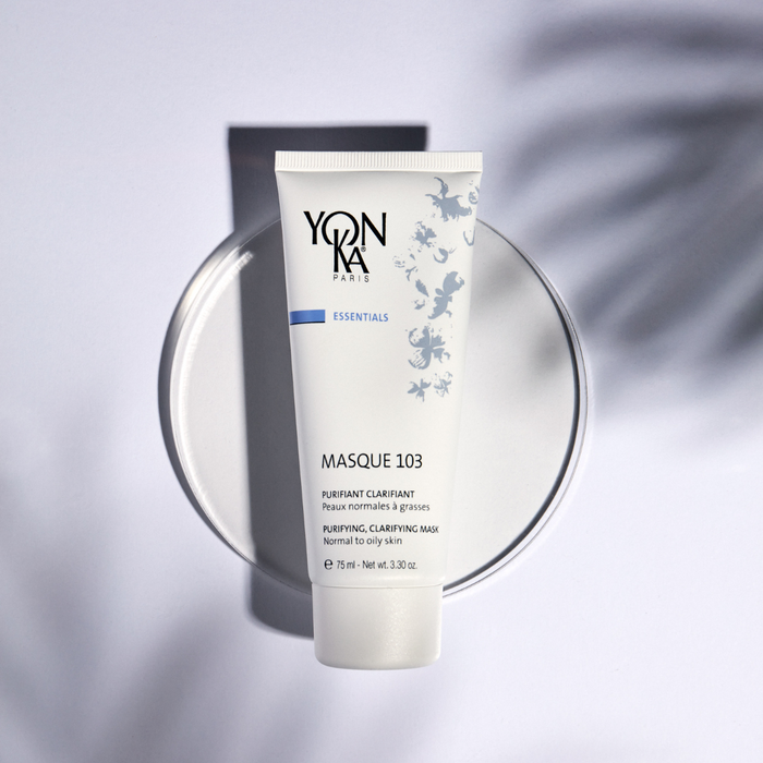 Masque 103 mascarilla purificante